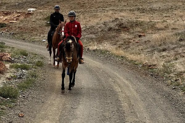 Cihangir binicilik aile tesisi - Resim 8