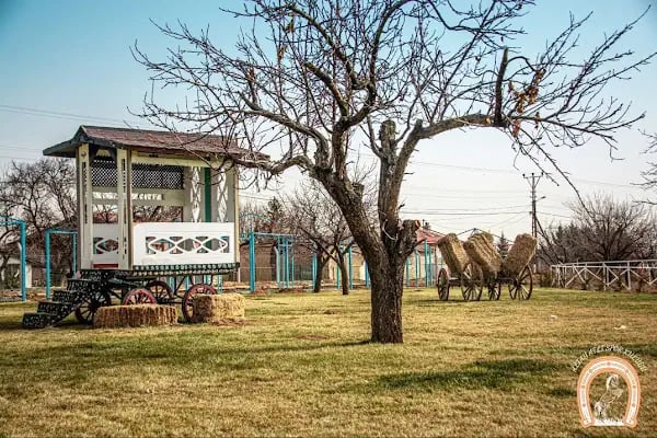 Cihangir binicilik aile tesisi - Resim 15