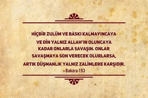 Fatih Camii - Resim 14