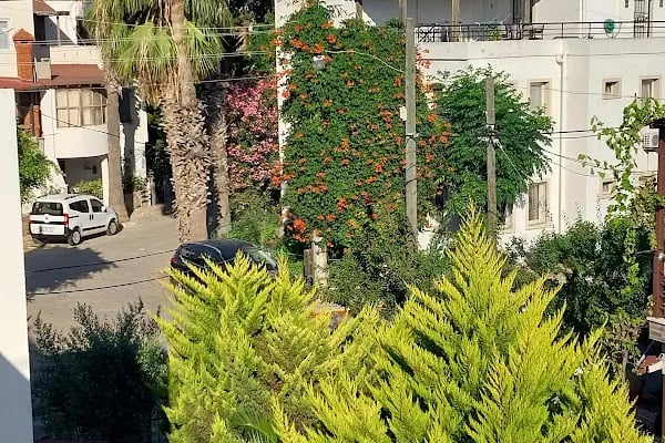 Türkmenoğlu Sitesi no:40 - Resim 3