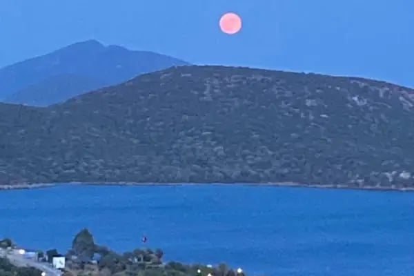 La Terraza Evleri - Resim 6