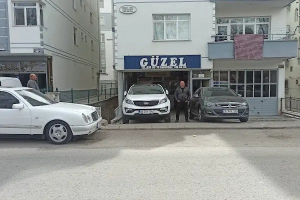 Güzel Otomotiv - Resim 8