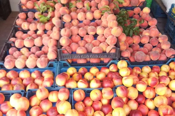 Ay-mar Market - Resim 9