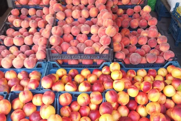 Ay-mar Market - Resim 6