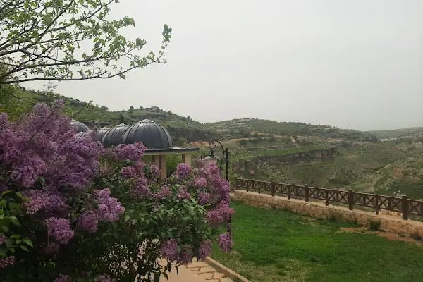 Gözügölü Göleti - Resim 4
