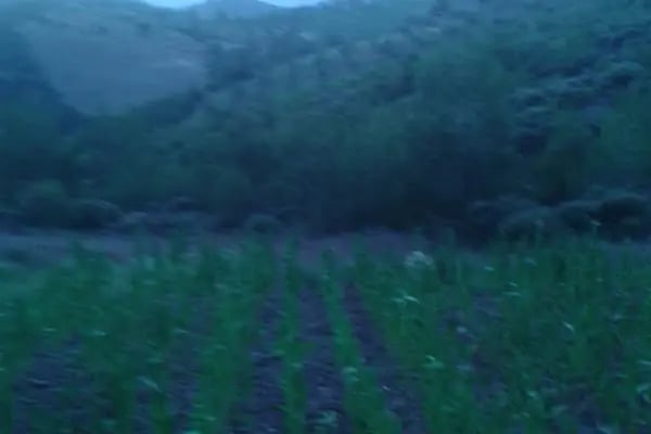 Örtülü İlkokulu - Resim 5