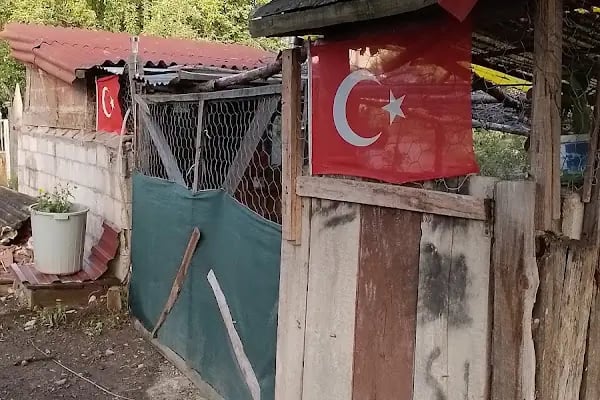 Akpınar Köyü Muhtarlığı - Resim 11