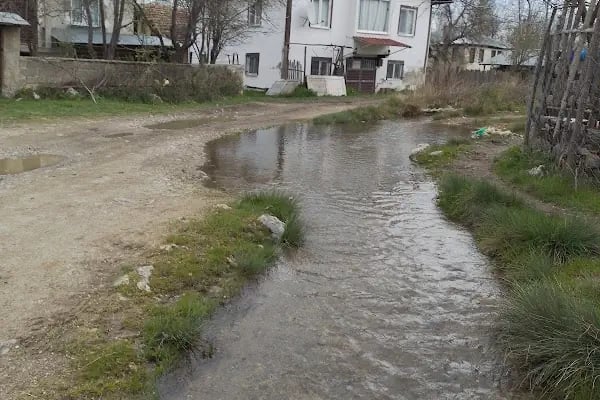 Akpınar Köyü Muhtarlığı - Resim 8
