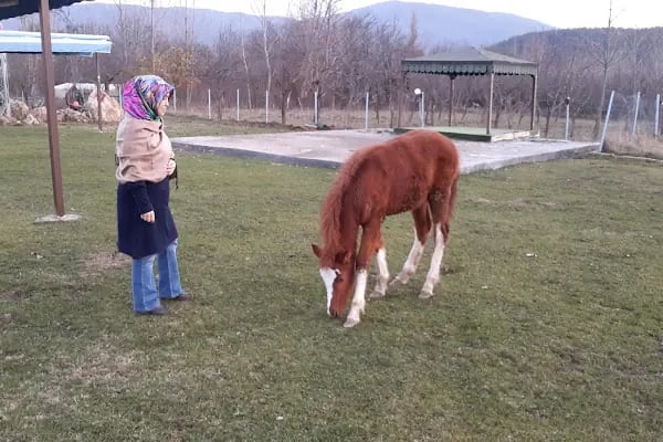 Akpınar Köyü Muhtarlığı - Resim 14