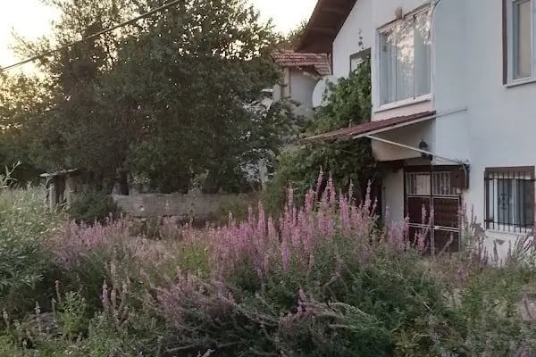 Akpınar Köyü Muhtarlığı - Resim 10