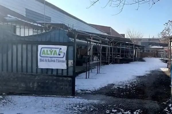 Alya Halı Yıkama Fabrikası - Resim 4