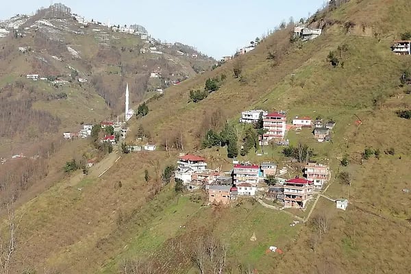 Ağaçlı - Resim 2