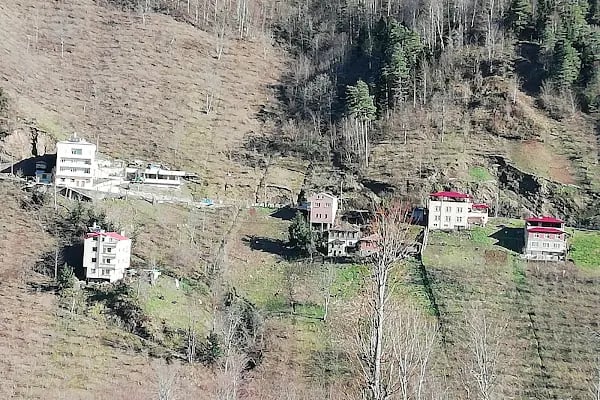 Ağaçlı - Resim 10