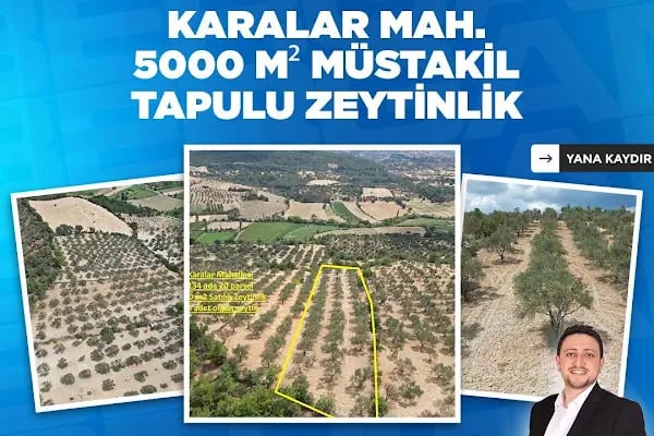 TURYAP BERGAMA - Resim 10