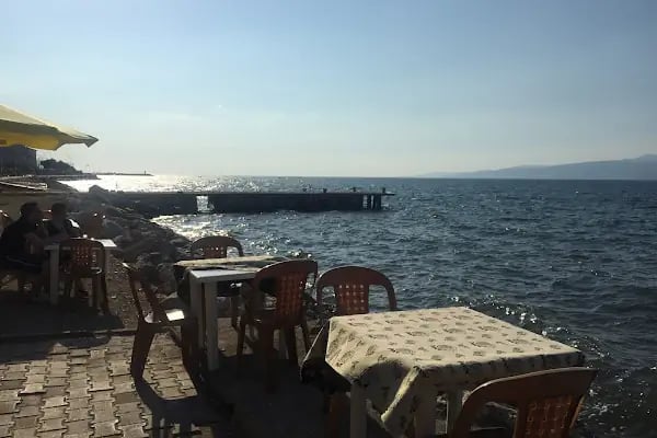 Sarı Kahve - Resim 1
