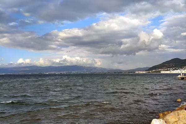 Sarı Kahve - Resim 4