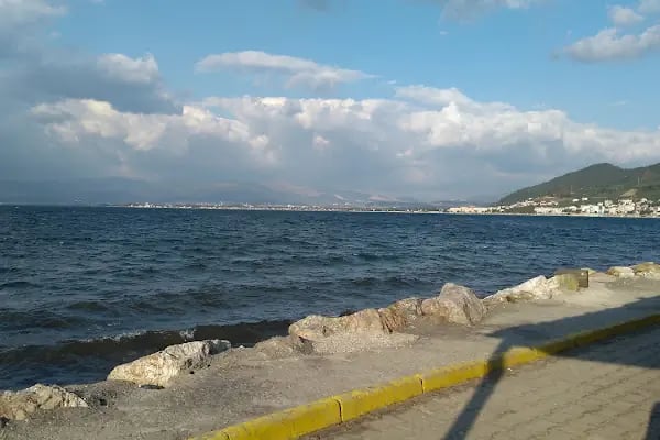 Sarı Kahve - Resim 9