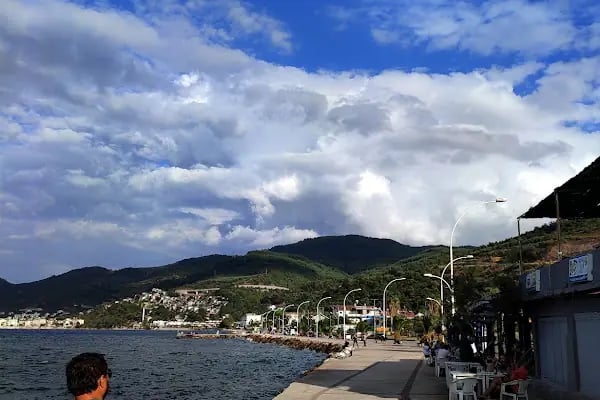 Sarı Kahve - Resim 6