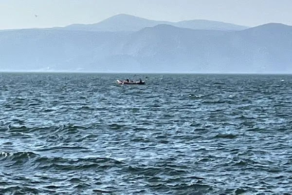 Sarı Kahve - Resim 8