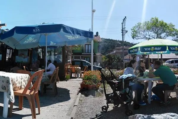 Sarı Kahve - Resim 2