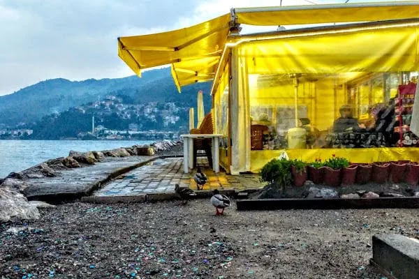 Sarı Kahve - Resim 17
