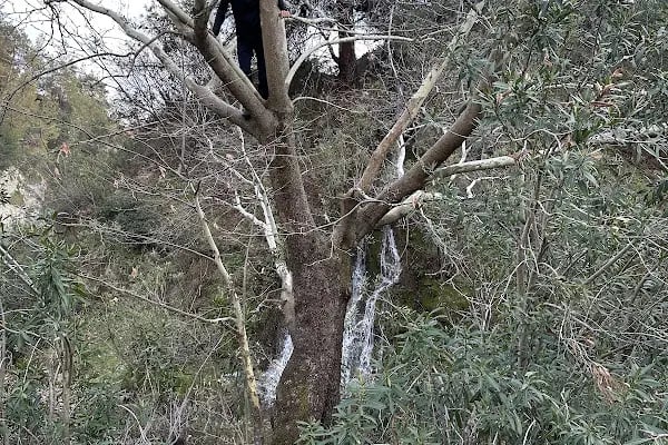 Suuçtu Şelalesi - Resim 4
