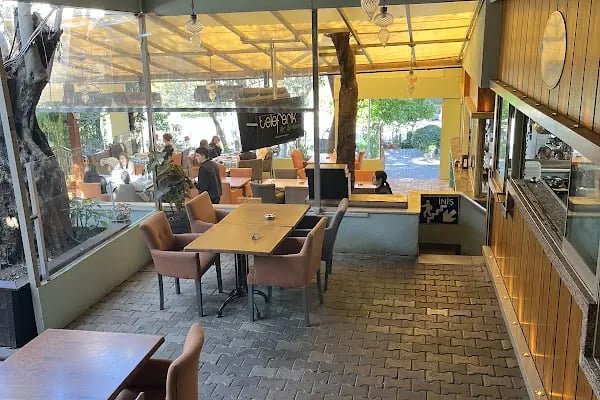 Orman İçi Cafe & Restaurant - Resim 13