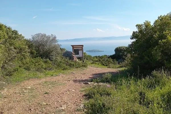 Konservatuara hazırlık kursu,oyunculuk ve diksiyon eğitimi verilir. - Resim 16