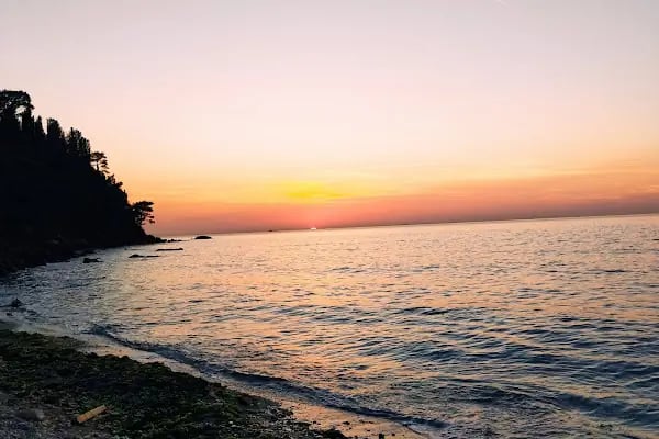 Konservatuara hazırlık kursu,oyunculuk ve diksiyon eğitimi verilir. - Resim 13