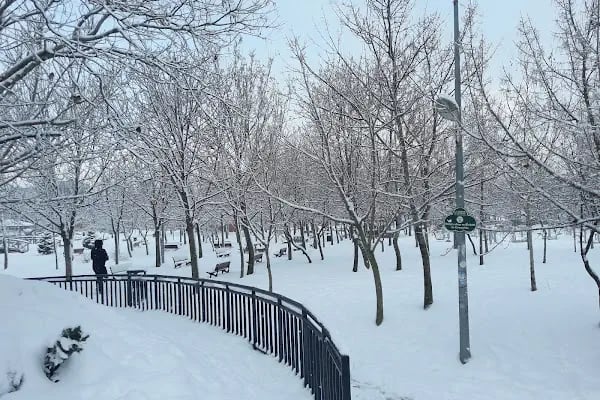 Ataşehir Belediyesi 80. Yıl Cumhuriyet Parkı - Resim 7