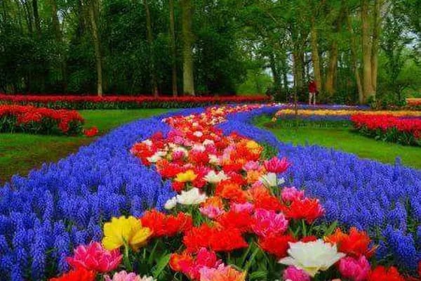 Engelsiz Cafe Park - Resim 5