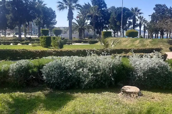 Engelsiz Cafe Park - Resim 12
