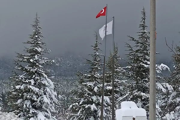 K.G.M. TEKİR İŞLETME - Resim 3