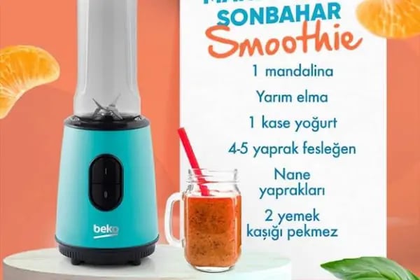 BEKO KAYAOĞLU İNEGÖL - Resim 19