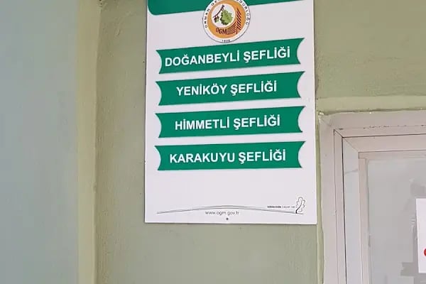 Saimbeyli Orman İşletme Müdürlüğü - Resim 5
