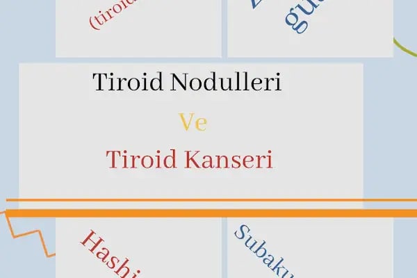Bezmialem Dragos Hastanesi - Endokrinoloji, Diyabet ve Tiroid Merkezi - Resim 9