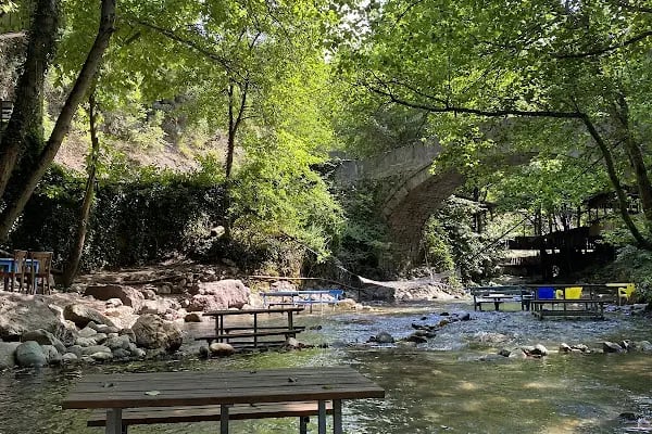 Bı fincan mola - Resim 20
