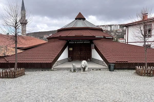Doğa ve Yaşam Müzesi - Resim 6