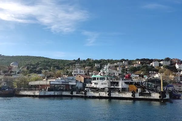 Burgazada Gönüllüleri Kültür, Sanat ve Eğitim Merkezi - Resim 3