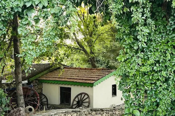 Alissa Çamlık Restaurant - Resim 16