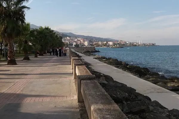 Fatih Parkı - Resim 2