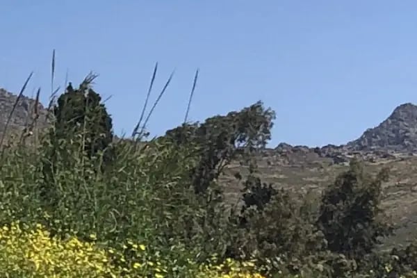 BODRUM NARADA - Resim 17