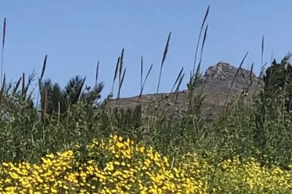 BODRUM NARADA - Resim 19