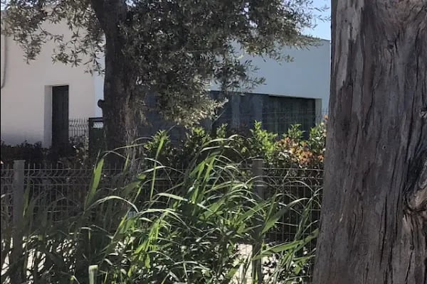 BODRUM NARADA - Resim 3