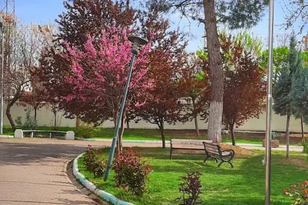 Tepe Devlet Hastanesi - Resim 3