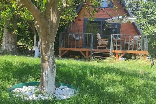 Portakal Bungalov - Resim 12