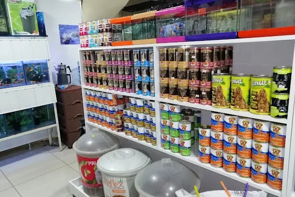 Kaan Pet Shop - Resim 19
