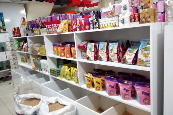 Kaan Pet Shop - Resim 16