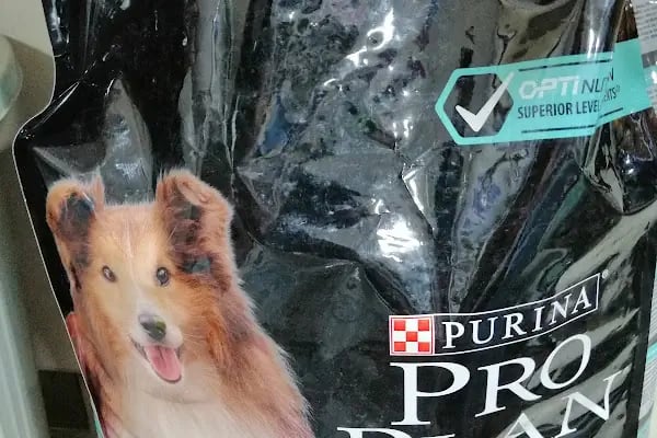 Kaan Pet Shop - Resim 5
