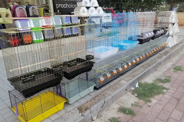 Kaan Pet Shop - Resim 15